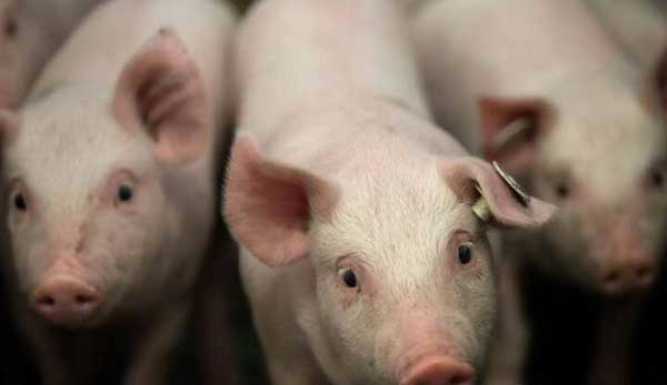 1666755113696734.jpg 001.jpg