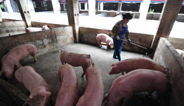 1666755128483760.jpg 002.jpg