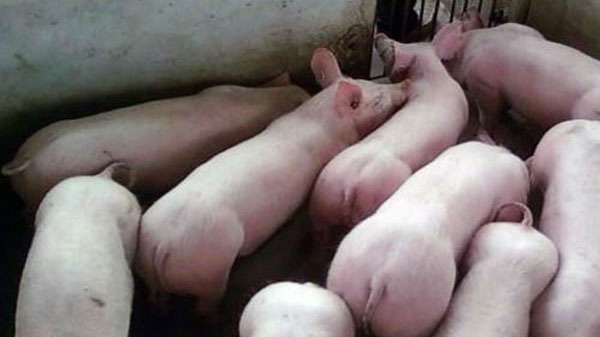 1666797506968430.jpg 002.jpg