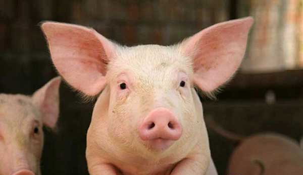 1666797532815756.jpg 001.jpg