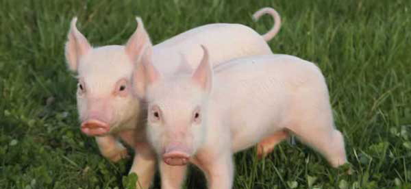 1666797540300193.jpg 002.jpg