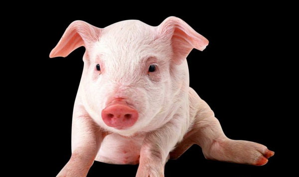 1666797655169710.jpg 001.jpg