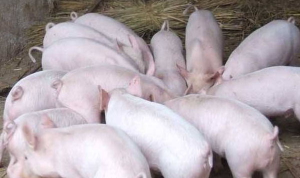 1666797662167003.jpg 002.jpg