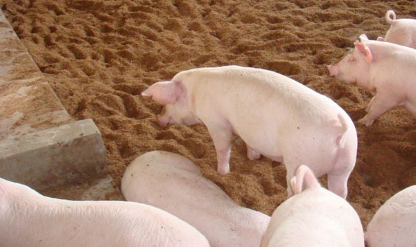 1666797669220872.jpg 003.jpg