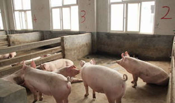 1666881751800503.png 001.png