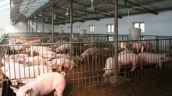 1666881859158859.jpg 001.jpg