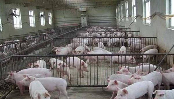 1666881868101068.jpg 002.jpg